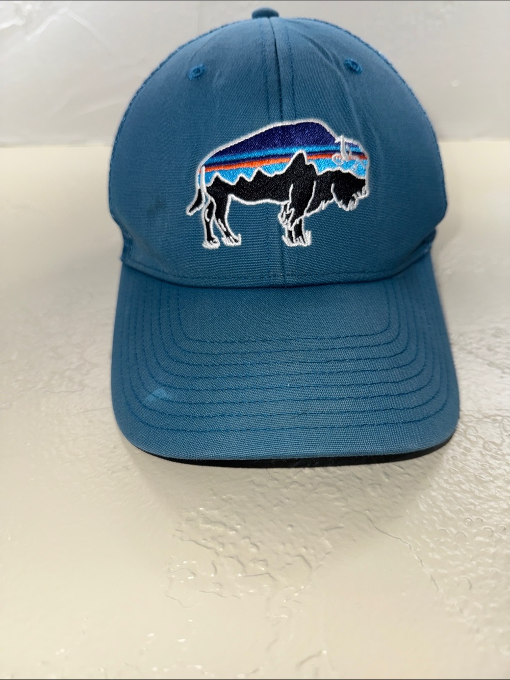 Patagonia Teal and Navy Trucker Hat with Embroidered Mountain Buffalo Patch